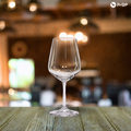 Lot de Gobelet Cabernet/Spritz