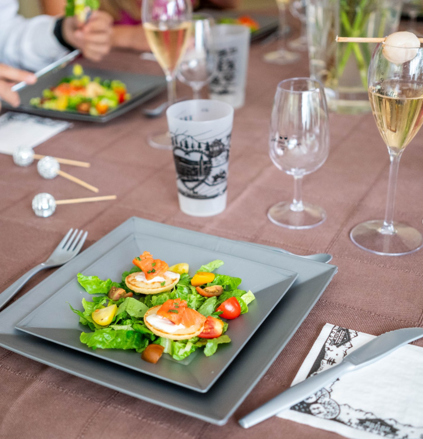 Assiette carrée 24 × 24 cm – Assiette plate réutilisable en PP