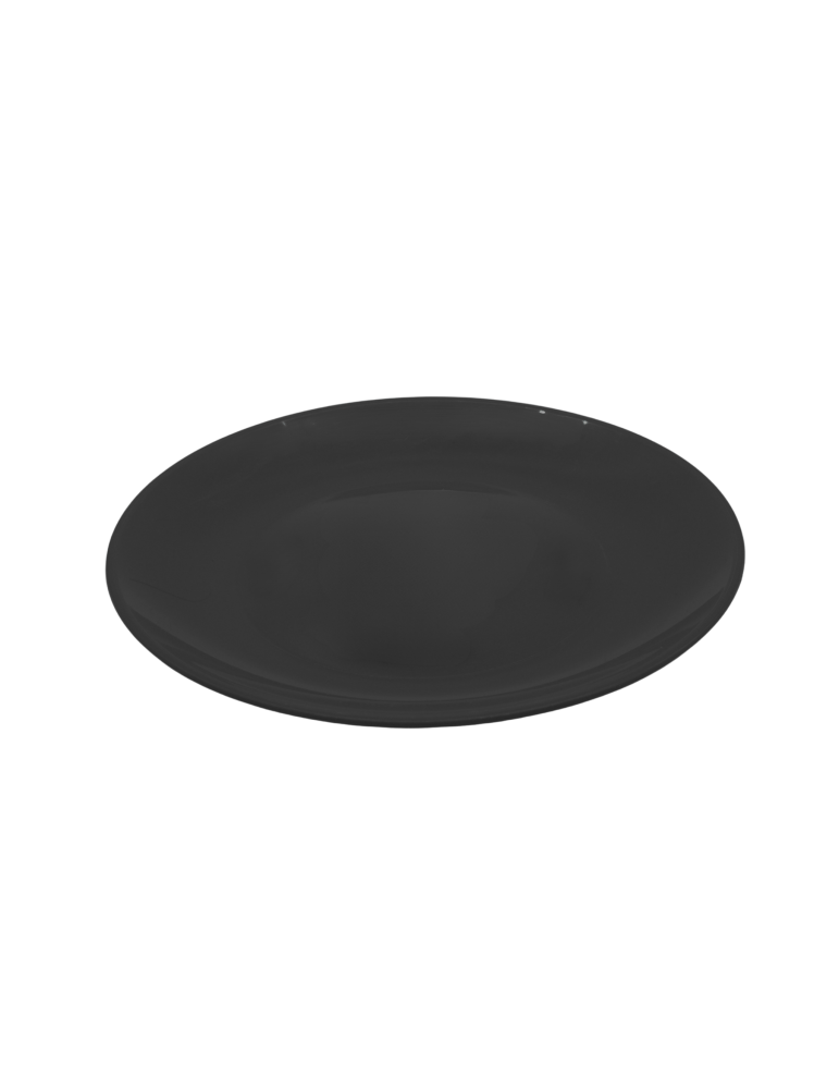 Assiette ronde 24 cm – Assiette plate réutilisable en PP